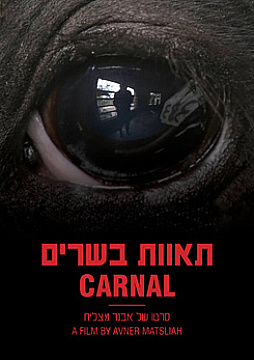 צפייה בסרט המלא Carnal - צפייה בטריילר